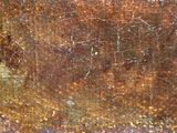 a close up of a painting of a horse in a field