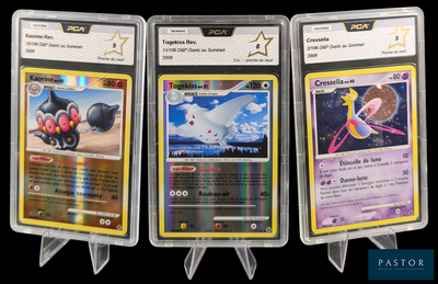 trois types différents de cartes Pokémon dans des pochettes en plastique, sur fond noir