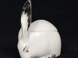 a small white rabbit sitting on a black surface