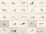 de nombreux dessins sur le mur d'une pièce