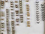 de nombreux types de papillons exposés dans une vitrine