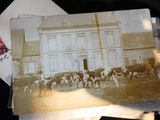 an old photo of a group of horses in front of a building