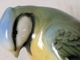 a small blue and yellow bird sitting on top of a glass