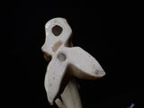 a bone with a bone shaped like a bird on it