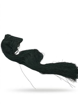 un long cheveu noir avec une longue queue, sur fond blanc