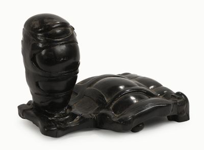 sculpture représentant une tortue posée sur un socle, sur une surface blanche