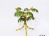 une petite plante posée sur une table