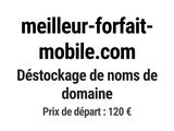 Photo 1/1 du lot