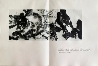 un livre ouvert sur lequel figurent des dessins en noir et blanc