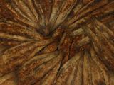 tie dye dyed with brown and brown dye on top of a wooden table