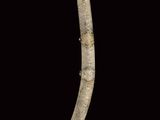 Photo 14/20 du lot