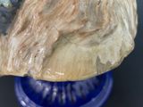 a close up of a rock on a blue vase