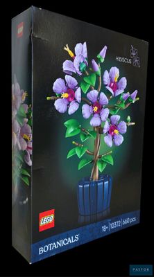 une boîte contenant une plante, sur fond noir