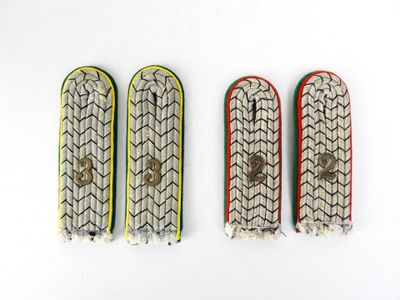 trois paires d'insignes militaires sur un fond blanc
