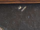 a close up of a painting of a cat on a table