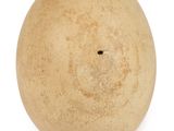 a large stone ball with a hole in the middle