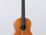 a close up of an acoustic guitar on a white background