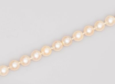 un gros plan d'un collier de perles sur fond blanc