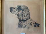 tableau représentant un chien noir et blanc dans un cadre doré
