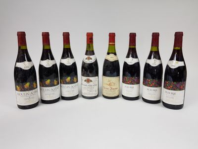 8 bouteilles BEAUJOLAIS DIVERS, (Juliénas 1991 Bouchard P&F …