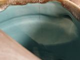 a close up view of a toilet bowl with the lid down