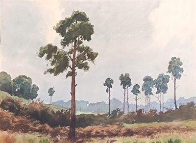 Pierre THIBAULT (XX) - Photo 1