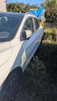 NISSAN QASHQAI - Genre : VP - Carrosserie : CI - Energie : G… (photo 3)