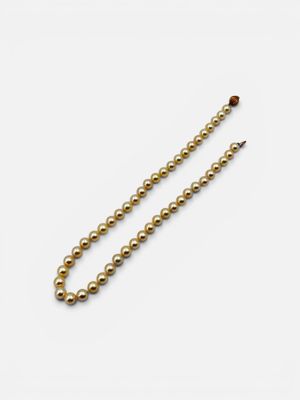 a single pearl bead necklace on a white background