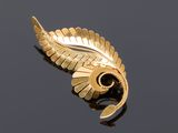 an image of a gold leaf brooch on a black surface
