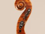 a close up of the back of a violin