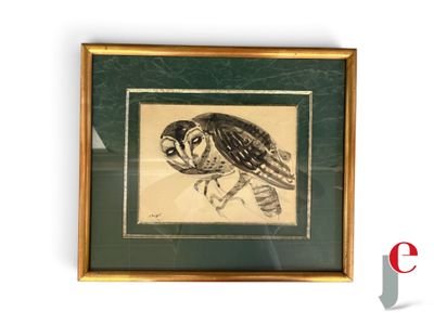 une image représentant une photo d'un hibou dans un cadre