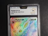 an image of a pokemon card in a plastic case