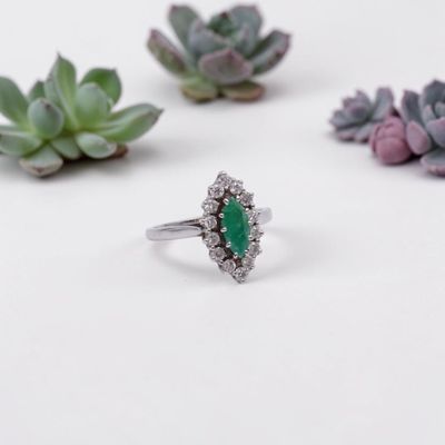 une photo en gros plan d'une bague posée sur une table avec des plantes grasses