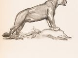 an image of a drawing of a lion standing on top of a rock