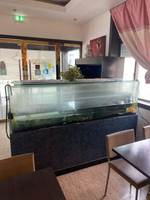 Aquarium composé d’une cuve en verre rectangulaire posée sur…