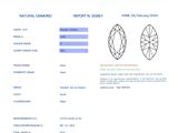 Photo 4/7 du lot