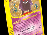 une image d'une carte Pokémon sur laquelle figure un chat noir