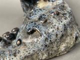 a close up of a rock with a face on it