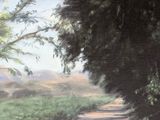 a painting of a dirt road in the middle of a field