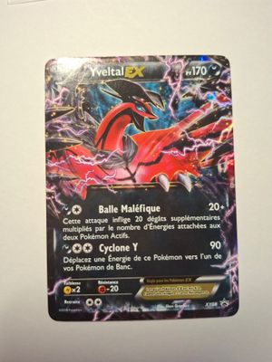 "Collection-PokÉMon-Carte : Yveltal EX