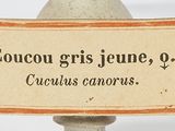 Photo 3/3 du lot