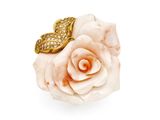 une image représentant une rose blanche sur laquelle est posé un papillon