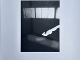 black and white photograph of a cat in a room with a window