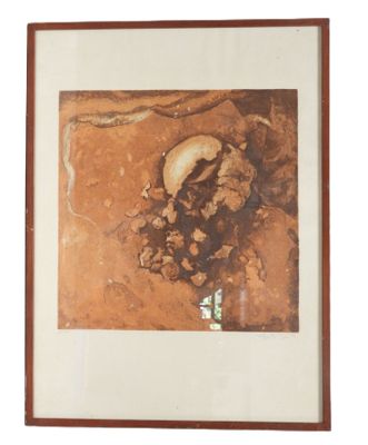 framed photograph of a skull and a snake in a dirt area