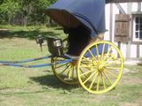 a horse drawn carriage that is parked in the grass