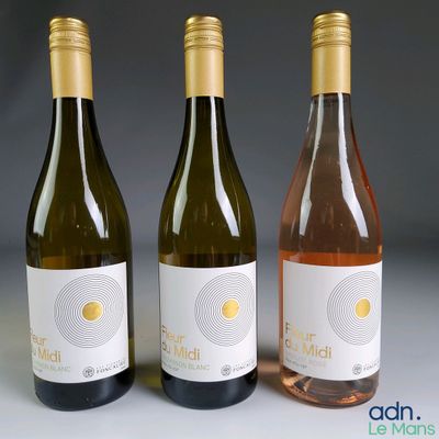 trois bouteilles de vin posées l'une à côté de l'autre sur une table