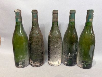 six bouteilles de vin vides sont alignées en rang