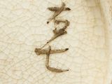 a close up of a plate with a writing on it