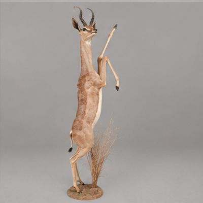 statue d'une gazelle debout sur ses pattes arrière, tenant un bâton dans la bouche