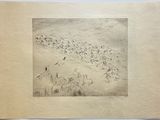 dessin représentant une volée d'oiseaux survolant un champ d'herbe